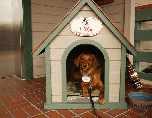 golden retriever dog house. She now has her own custom dog