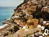 Amalfi