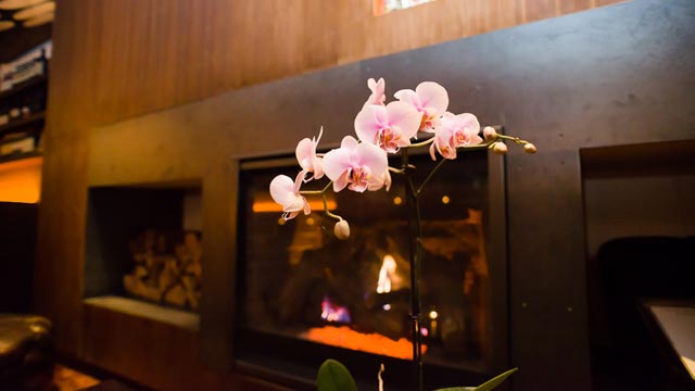 PHOTO: Antica Pesa Fireplace
