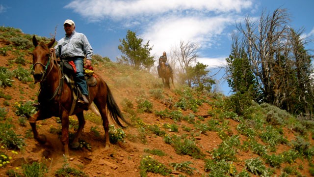 PHOTO: Nick Battiste, (in foreground) and Nikki Battiste in background during a dude ranch ride.