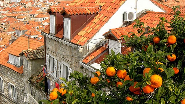 PHOTO: Foodie Getaways