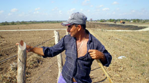 Cuba launches green revolution around cities and towns