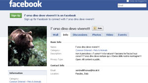 Dino the Bear Becomes a Facebook Star