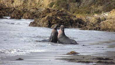 PHOTO: Nature Adventures