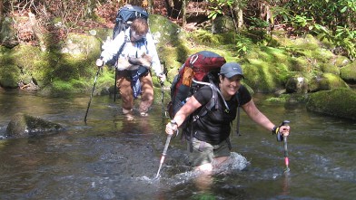 PHOTO: Challenge yourself like these guests, in Great Smoky Mountains National Park.