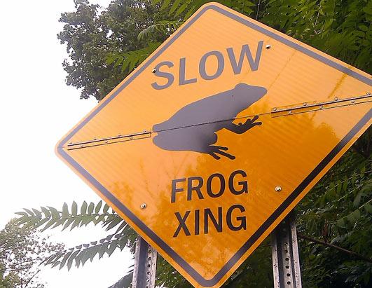 Bizarre Street Signs: Effective or Ridiculous?