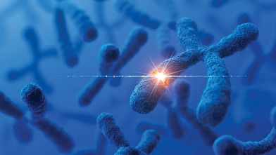 PHOTO: Telomeres
