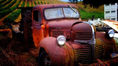 PHOTO: Go Garagiste in Paso Robles