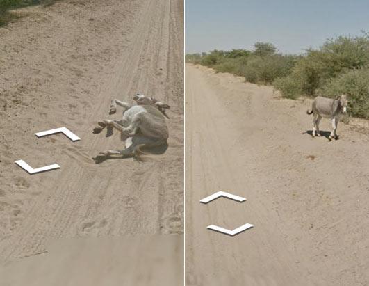 Donkey Dust Bath on Google Street View 