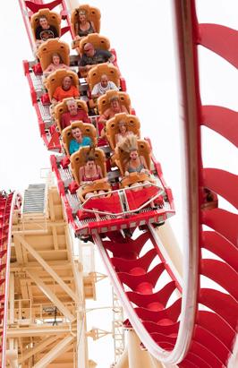 Roller Coasters