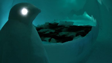PHOTO: Penguins aren't indigenous to the Arctic Circle, but you'll find them in Art Suite 306 by Egle Saladziute & Erika Irmler