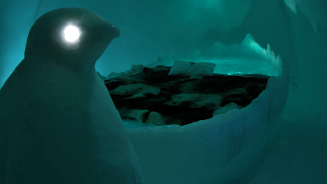 PHOTO: Penguins aren't indigenous to the Arctic Circle, but you'll find them in Art Suite 306 by Egle Saladziute & Erika Irmler