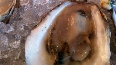 PHOTO: Dish at Island Creek Oyster Bar