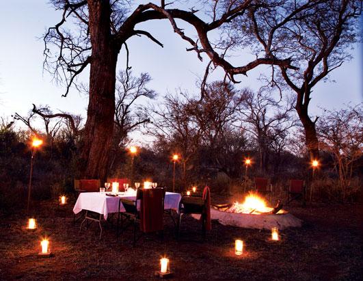 Picnics of a Lifetime