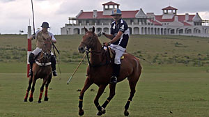 PHOTO Polo players. More hotels than ever are offering unique amenities for guests.