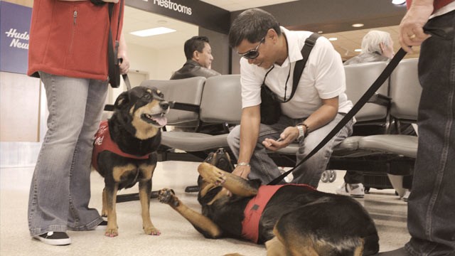 PHOTO: The new PUP (Pets Unstressing Passengers) program at Los Angeles International Airport kicked off this week.