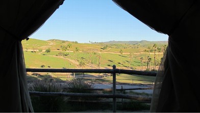 PHOTO: Safari Park is in a North County suburb, where its animals are free to roam over acres.