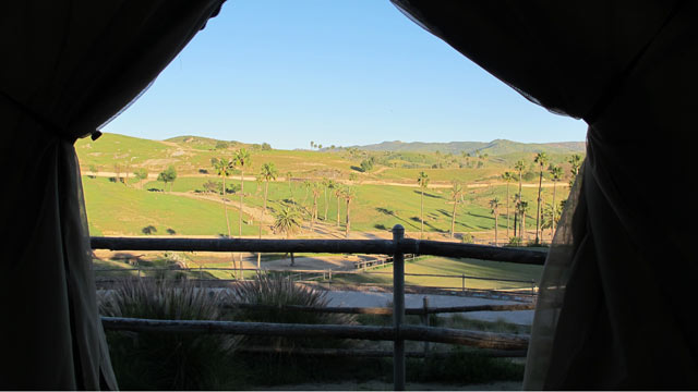 PHOTO: Safari Park is in a North County suburb, where its animals are free to roam over acres.
