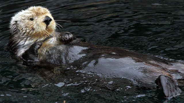PHOTO: Nature Adventures