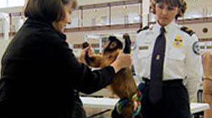 TSA Officers from Time to Time Have to Deal With the Surprising Service Monkey