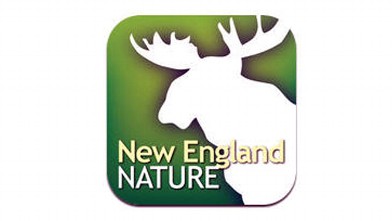 PHOTO: New travel app from the iTunes store; New England Nature.