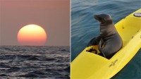 Join ABC News in Tracking Two Adventurers Sailing Around the World