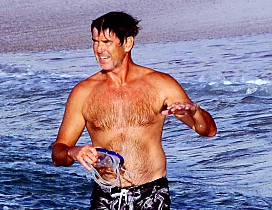 Stars Show Off Beach Bods