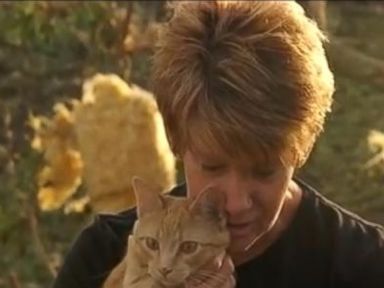 WATCH: Family Cat Emerges From Wreckage After Deadly Twister Strike