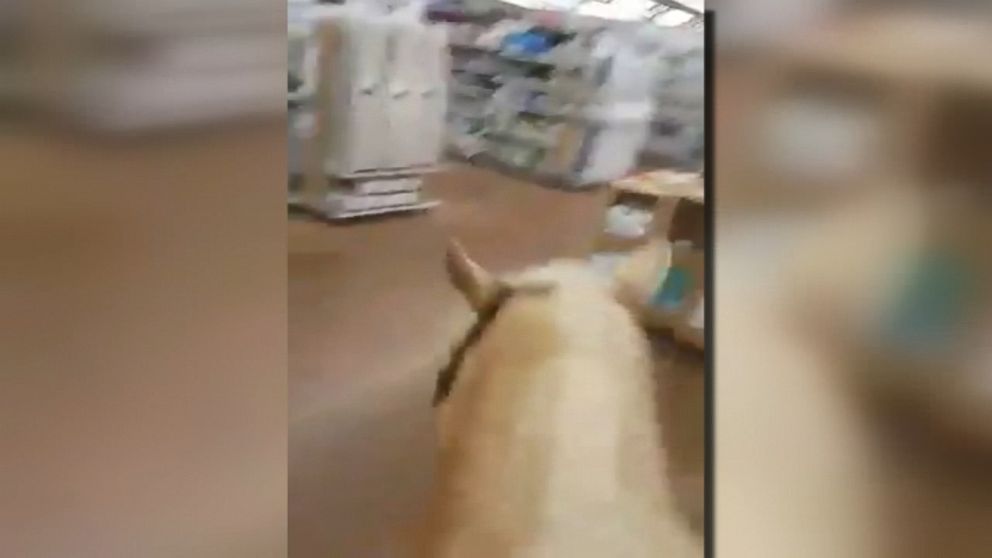 WATCH:  Men on horseback invade Texas Wal-Mart