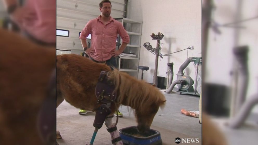WATCH:  Virginia man makes low-cost prosthetics for animals