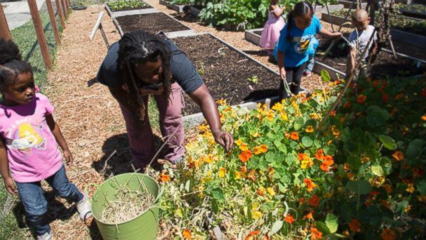VIDEO: Kelly Carlisle is inspiring a young group of local children through farming.