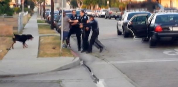 ABC dog shot nt 130702 33x16 608 Video Shows Dog Shot, Killed by Police