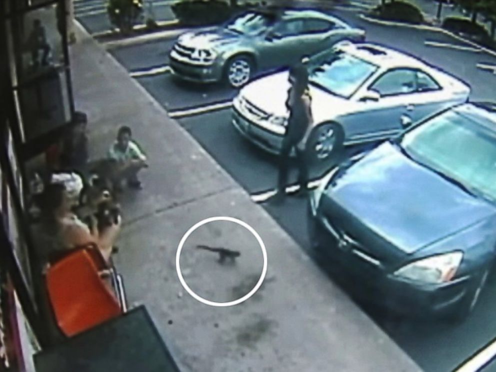 PHOTO: A California woman was bitten outside of a pizzeria by capuchin monkey.