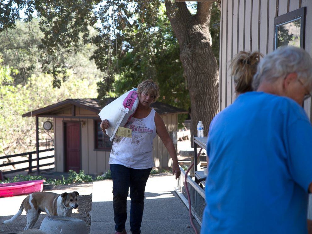 PHOTO: Susan Parkinson carries food to feed the pigs in Solvang, California.