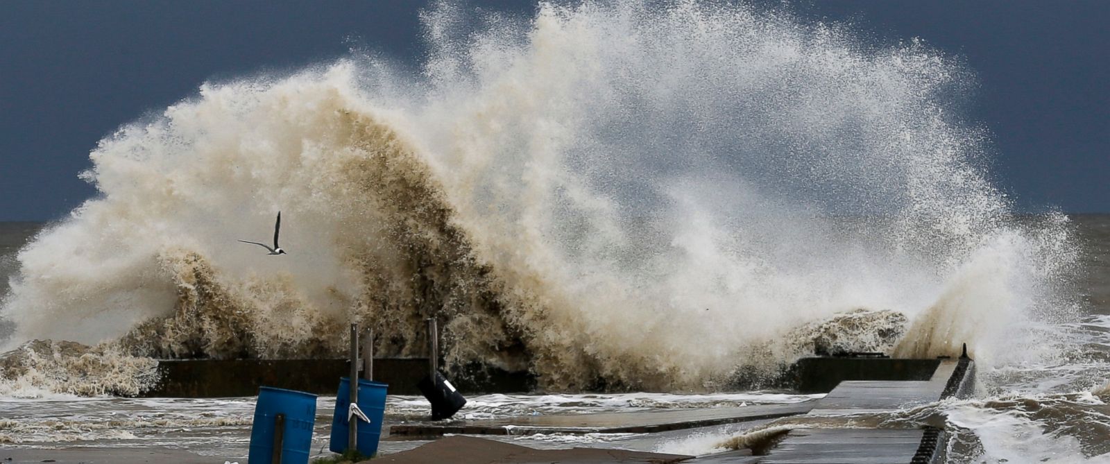 10yearold dead as Tropical Storm Cindy bears down on the Gulf Coast