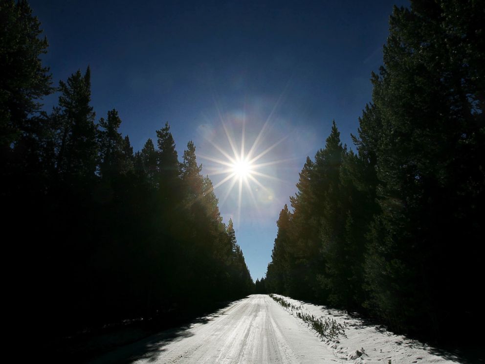 PHOTO: Sunlight illuminates a country road covered in snow near Fox Park in Medicine Bow National Forest in this Oct. 25, 2007 file photo.