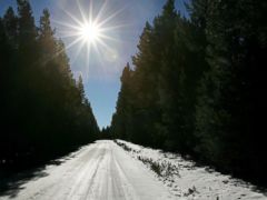 PHOTO: Sunlight illuminates a country road covered in snow near Fox Park in Medicine Bow National Forest in this Oct. 25, 2007 file photo.