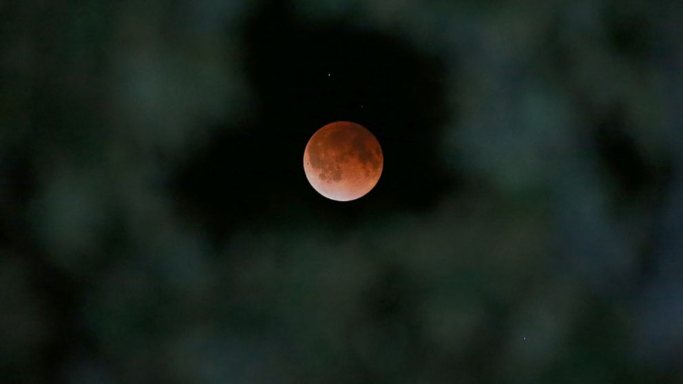 PHOTO: The Earths shadow is cast over the surface of the moon as a total lunar eclipse is seen though a Magnolia tree top in the sky over Tyler, Texas, April 15, 2014.