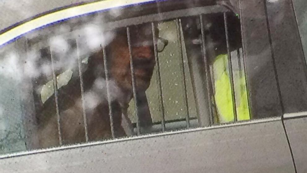 PHOTO: This photo provided by 41ActionNews, shows Frazier Glenn Cross on April 13, 2014.