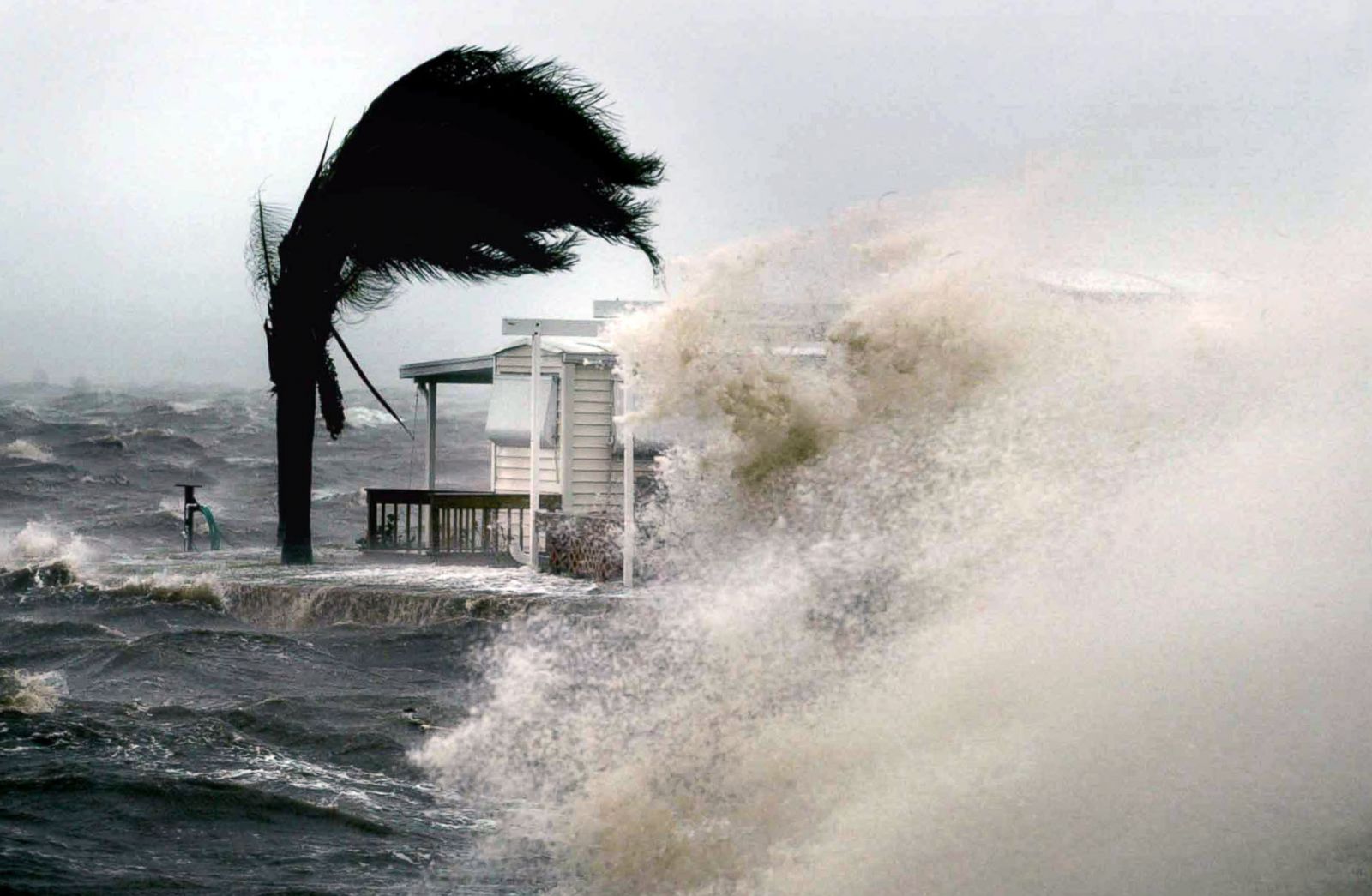 ‘The Baddest Hurricane Ever’ (2015) Lee Duigon