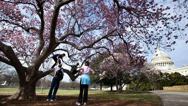 PHOTO: The Stidman family, Fil, Anna, and their daughters Laura, back left, and Sarah, of Raleigh, N.C. enjoy the warm Washington weather underneath a blooming magnolia tree on the Capitol grounds, March 12, 2012.