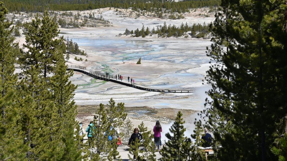 Man Likely 'Dissolved' in Yellowstone Hot Spring, Report Says