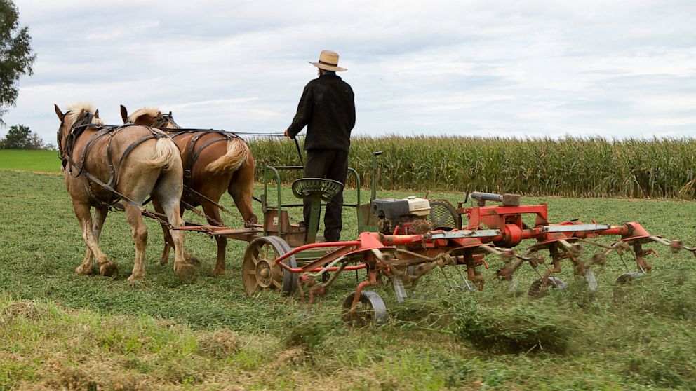 PHOTO: Amish Farmer