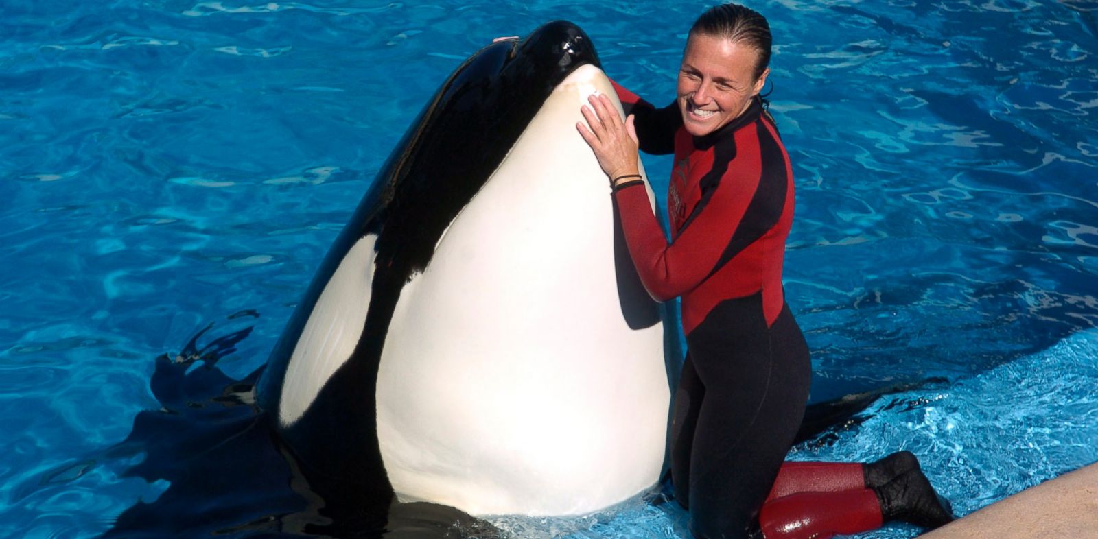 family-of-slain-seaworld-trainer-denounces-documentary-abc-news