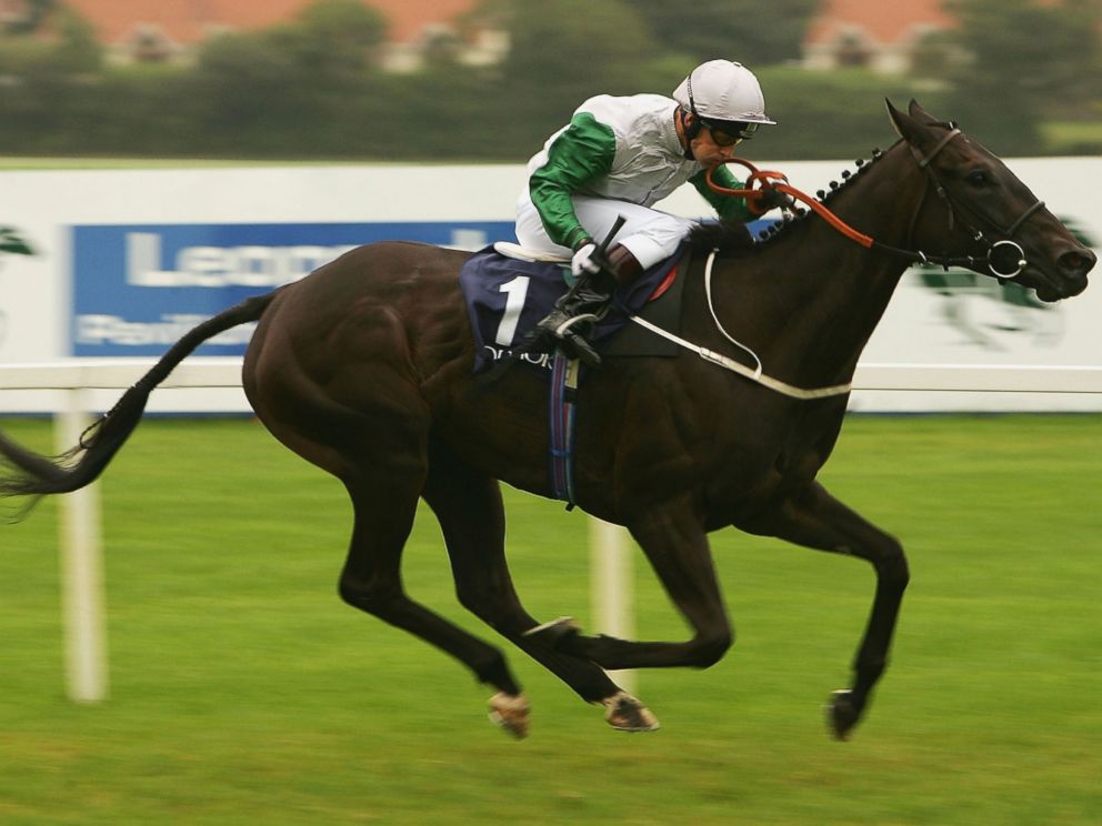 PHOTO: Kevin Darley and Attraction land The Coolmore Fusaichi Pegasus Matron Stakes Race run at Leopardstown Racecourse in this Sept. 10, 2005, file photo in Dublin, Ireland.
