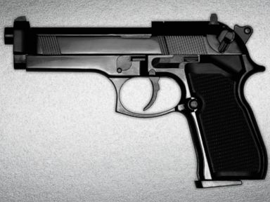 Oregon School District Lifts Staff Gun Ban