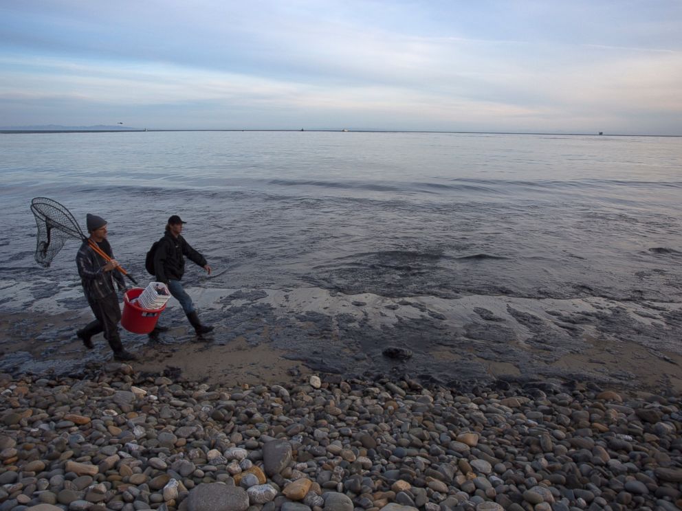 PHOTO: Local residents Josh Marsh, left, and Morgan Miller, right, patrol the oil-covered beach for distressed wildlife on May 19, 2015 north of Goleta, Calif.