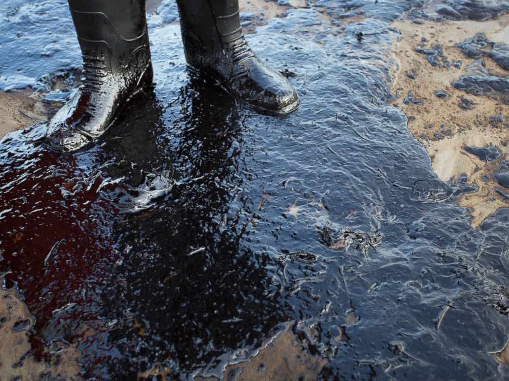 PHOTO: Oil surrounds the feet of local resident Morgan Miller as he patrols the beach for oiled wildlife on May 19, 2015 north of Goleta, Calif.