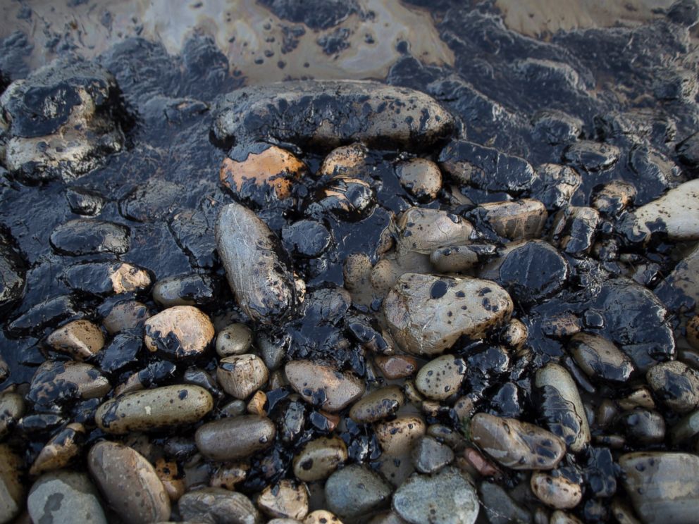 PHOTO: Spilled oil covers the beach at Refugio State Beach on May 19, 2015 north of Goleta, Calif.