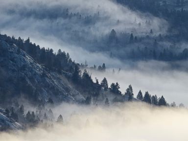 Hiker Killed by Grizzly Bear in Yellowstone National Park
